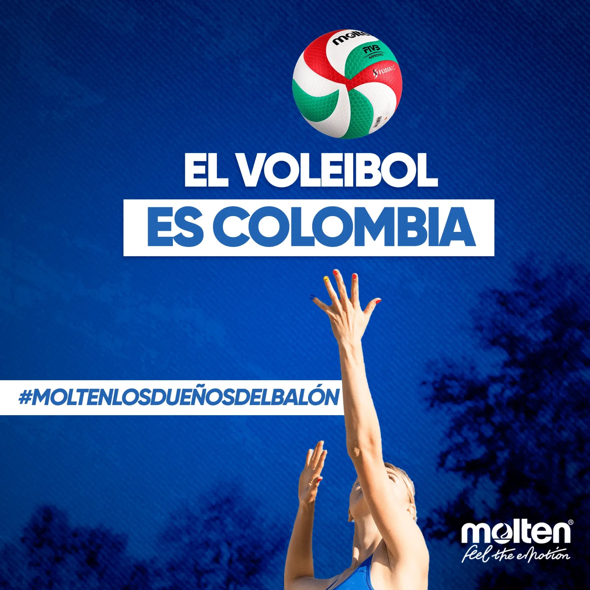 Balón Volleyball Molten - VSM5000